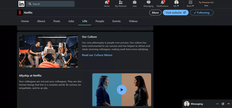 LinkedIn Netflix Video Page